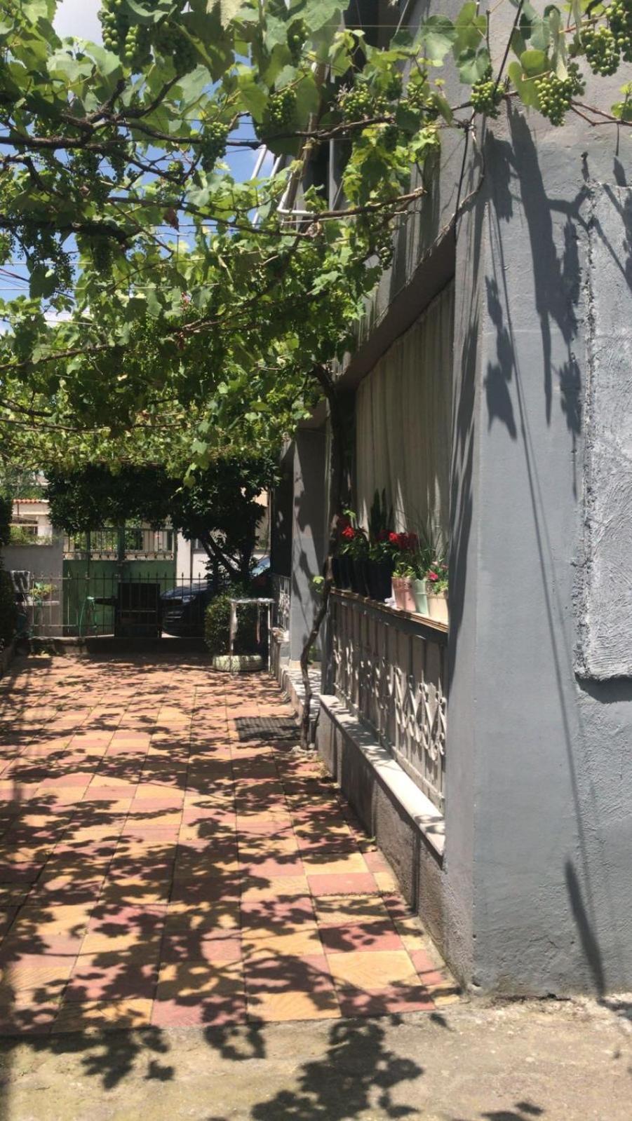 Green Door House Τίρανα Εξωτερικό φωτογραφία